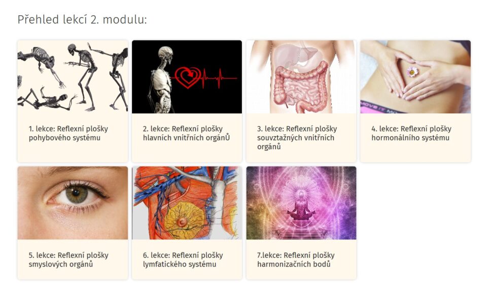 Přehled lekcí II. modulu On-line kurzu Reflexní terapie I.