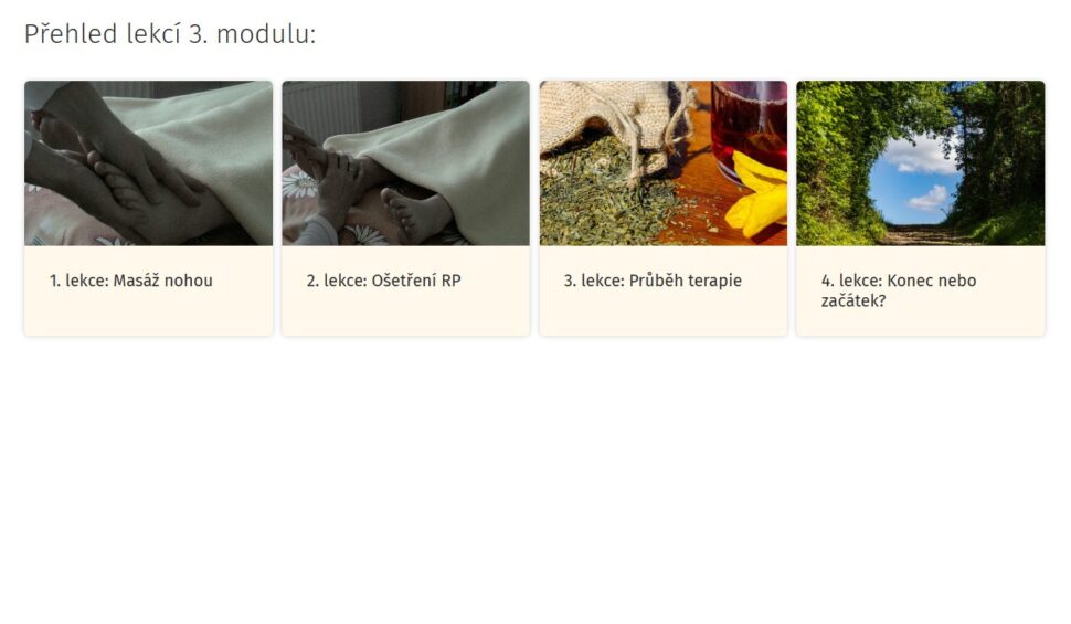 Přehled lekcí III. modulu On-line kurzu Reflexní terapie I.
